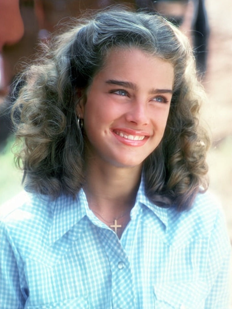 Brooke Shields 8.5 x 11 Color Photograph Art Print Photo Picture Collectibles:Photographic Images:Photographs Style Your Walls